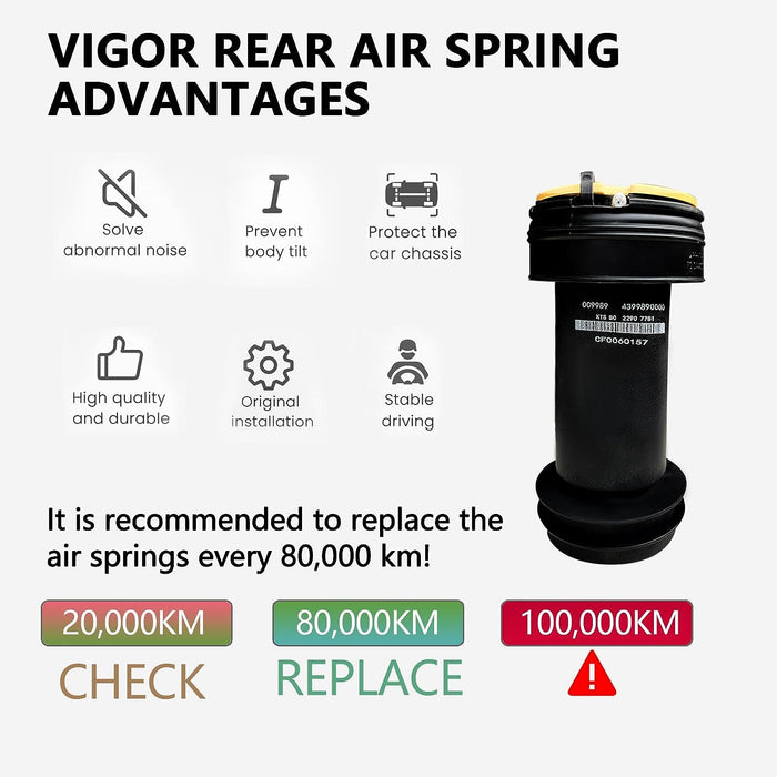 VIGOR Rear Air Suspension Spring Bag Compatible with 2013-2019 Cadillac XTS Car Air Springs OEM Replace Part Number 22778104, 22907781, 23116448, 23126011