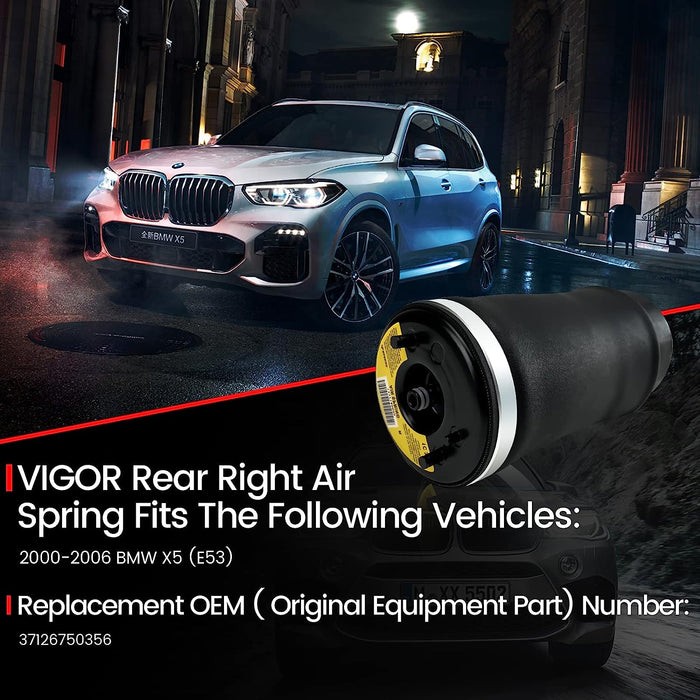 Vigor Rear Air Suspension Spring Bag Compatible with BMW X5 E53 2000-2006 Car, OEM Number 37126750356