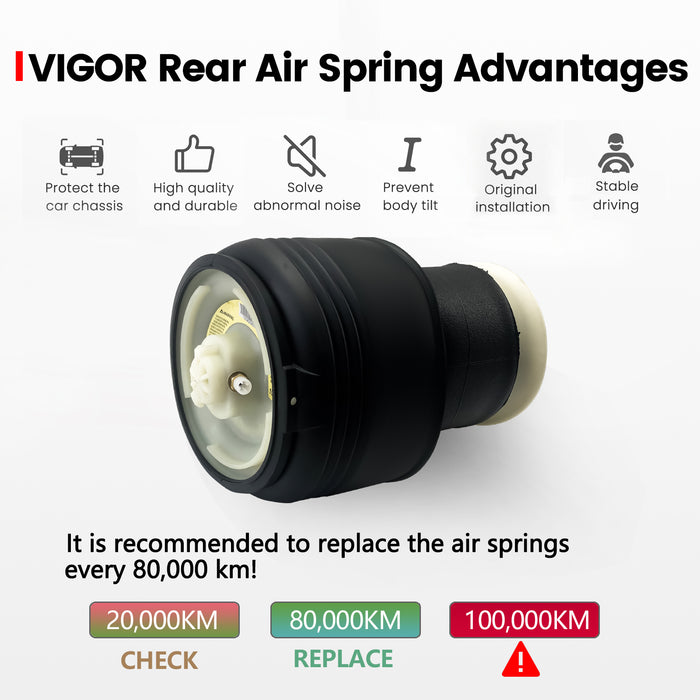 VIGOR Rear Air Suspension Spring Bag Compatible with BMW X5 E70 and X6 E71/E72 Hybrid Car, OEM Number 37126790078, 37126790080